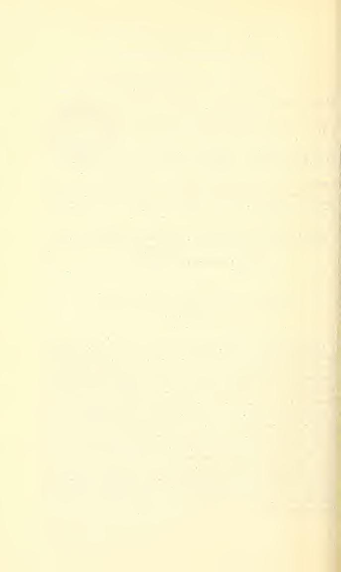 126 PROCEEDINGS OF THE NATIONAL MUSEUM vol. 113 Subfamily Cantacaderinae Stal Genus Gony centrum Bergroth Gonycentrum Bergroth, Wiener Ent. Zeit., vol. 17, No. 1, p. 9, 1898.