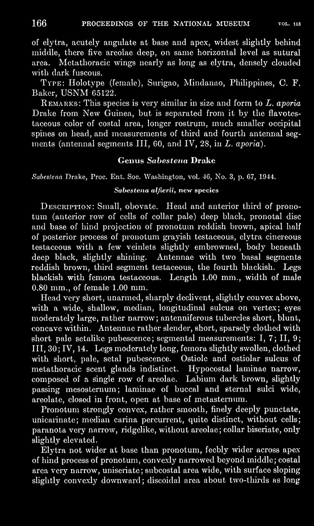 antennal segments (antennal segments III, 60, and IV, 28, in L. aporia). Genus Sabeslena Drake Sabestena Drake, Proc. Ent. Soc. Washington, vol. 46, No. 3, p. 67, 1944.