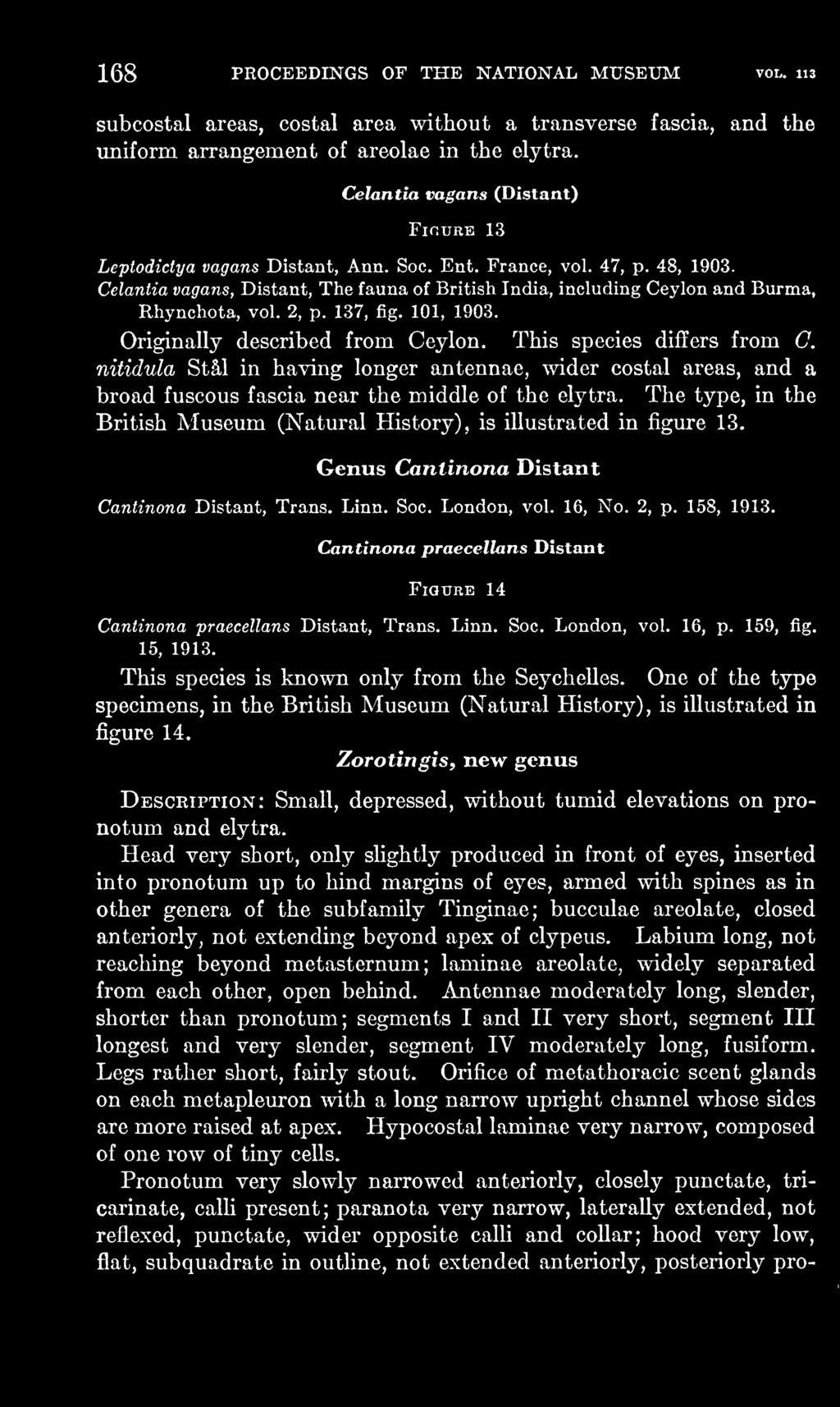 Genus Canlinona Distant Cantinona Distant, Trans. Linn. Soc. London, vol. 16, No. 2, p. 158, 1913. Cantinona praecellans Distant Figure 14 Cantinona praecellans Distant, Trans. Linn. Soc. London, vol. 16, p.