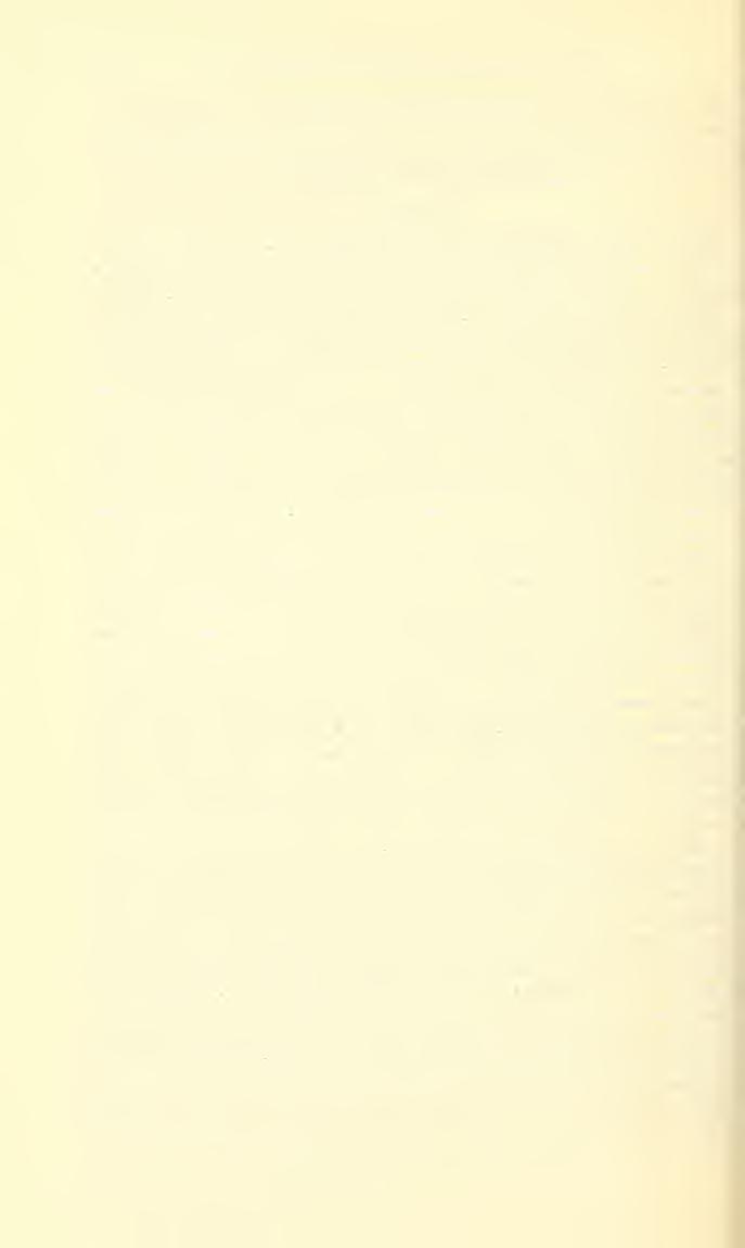 172 PROCEEDINGS OF THE NATIONAL MUSEUM vol. 113 Genus Conchotingis Drake Conchotingis Drake, Philippine Journ. Sci., vol. 83, No. 1, p. 71, 1954.