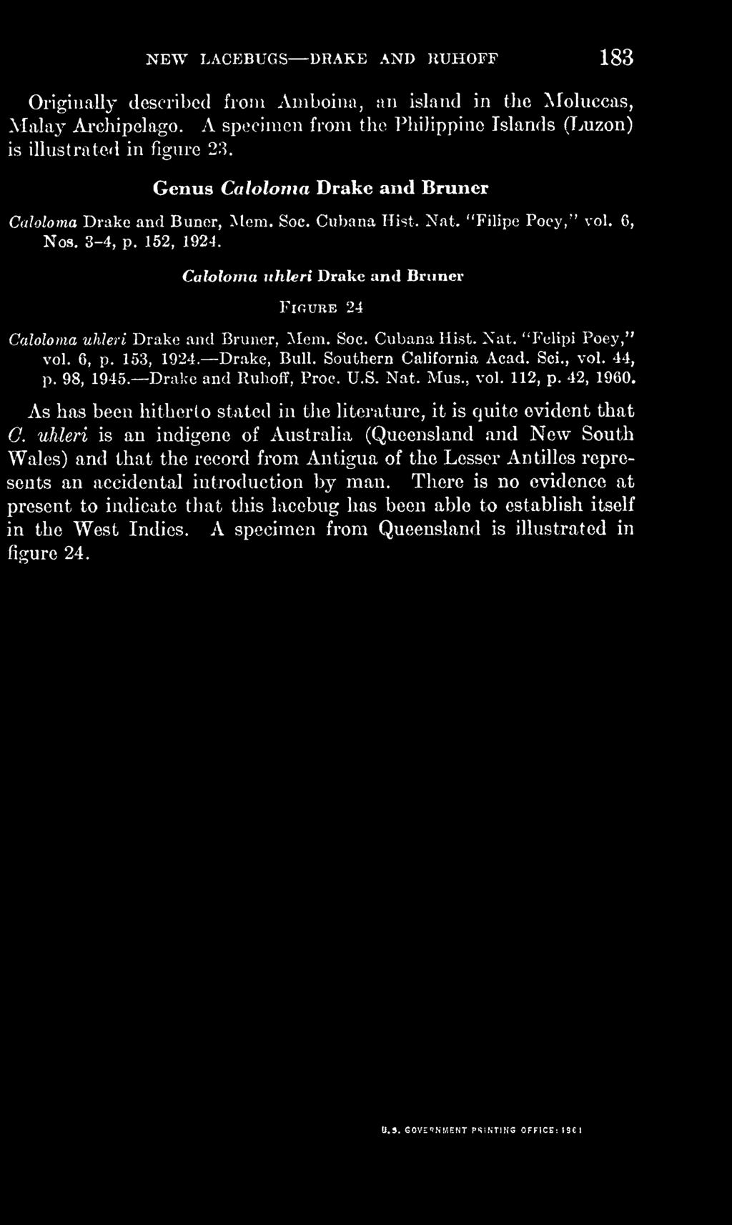 Caloloma uhleri Drake and Bruner Figure 24 Caloloma uhleri Drake and Bruner, Mem. Soc. Cubana Hist. Nat. "Felipi Poey," vol. 6, p. 153, 1924. Drake, Bull. Southern California Acad. Sci., vol. 44, p.