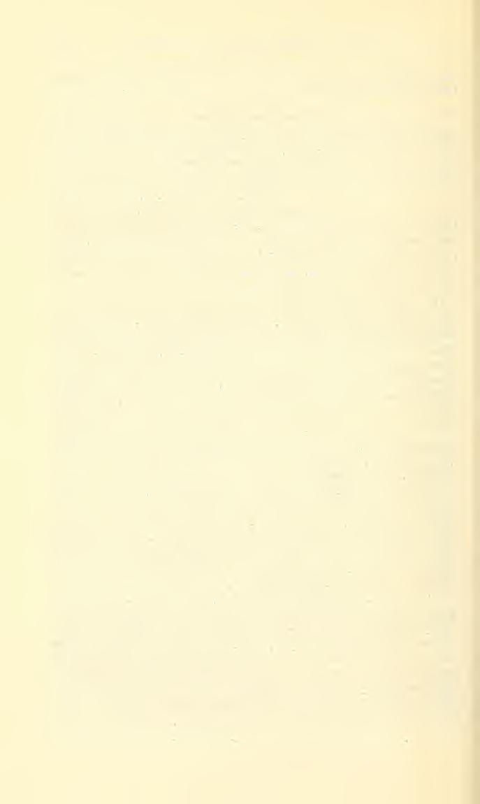130 PROCEEDINGS OF THE NATIONAL MUSEUM vol. :i3 Types: Holotype (male), allotype (female), and paratype (female), all brachypterous, Kasango, Kivu Province, Congo, October 9, 1954, USNM 65112.