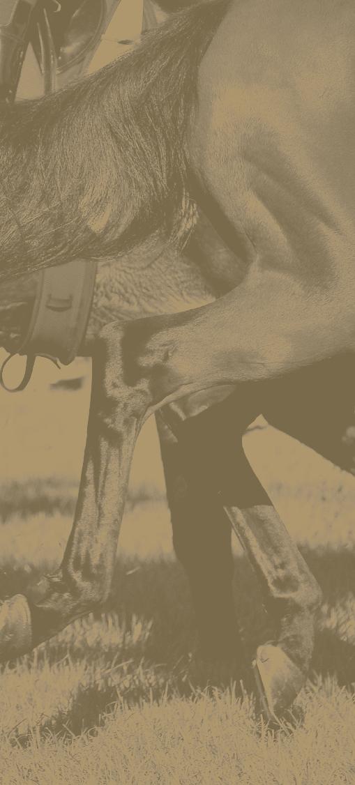 All our nutritional products are manufactured to EU feed hygiene standards and are designed in accordance with the FEI and Jockey Club regulations When it comes to published academic research, Hill