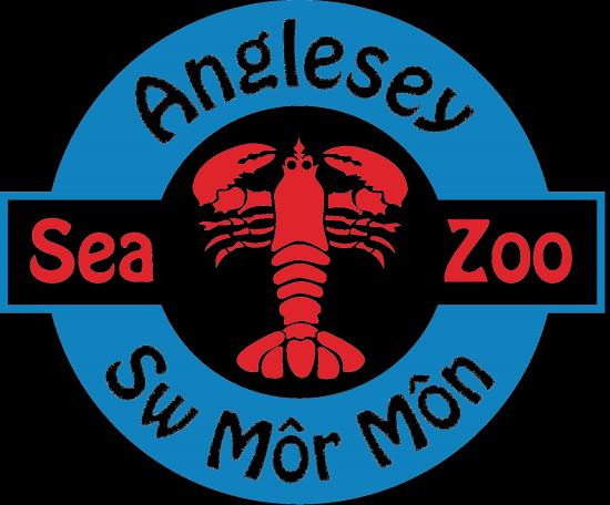 Key Stage 2 Lower ACTIVITY BOOK Ages 7-9 Name: Class: Date: Front Room Welcome to Anglesey Sea Zoo! Hi!