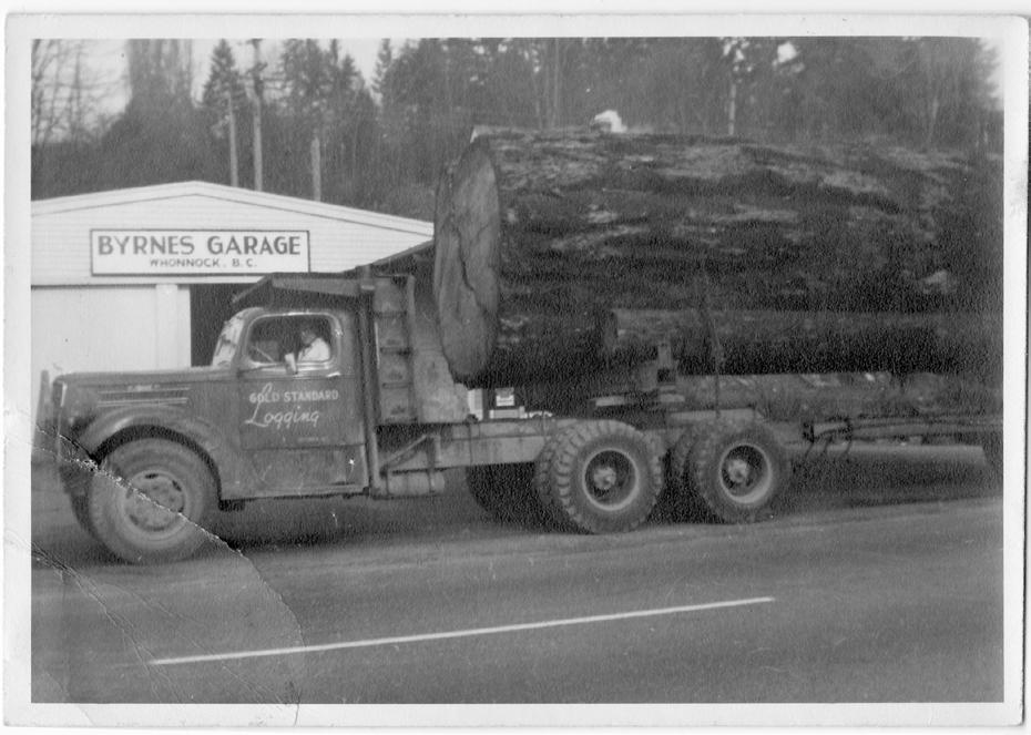 OCTOBER IMAGE The Gazette reported on February 19, 1953: A huge Douglas fir log measuring 10 feet 6 inches in diameter was hauled from the woods near Stave Lake by Gold