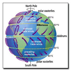 Global Winds Each convection cell correlates to an area of Earth s surface, called a wind belt, that is characterized