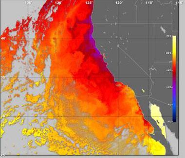 Sea Surface Temperatures show regions of upwelling at