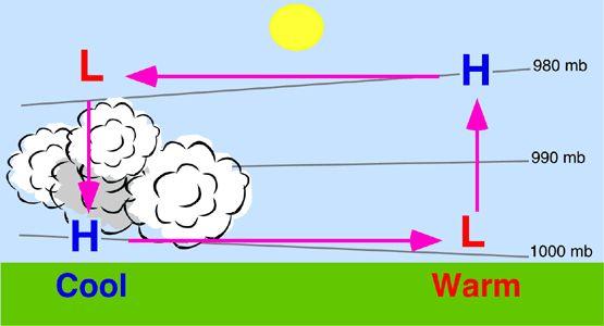 How Wind Forms 1. Sunlight strongly heats an area of the ground. The ground heats the air. The warm air rises, and an area of low pressure forms. 2.
