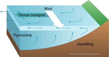 Another consequence of the coriolis effect (Ekman Transport) is for upwelling and