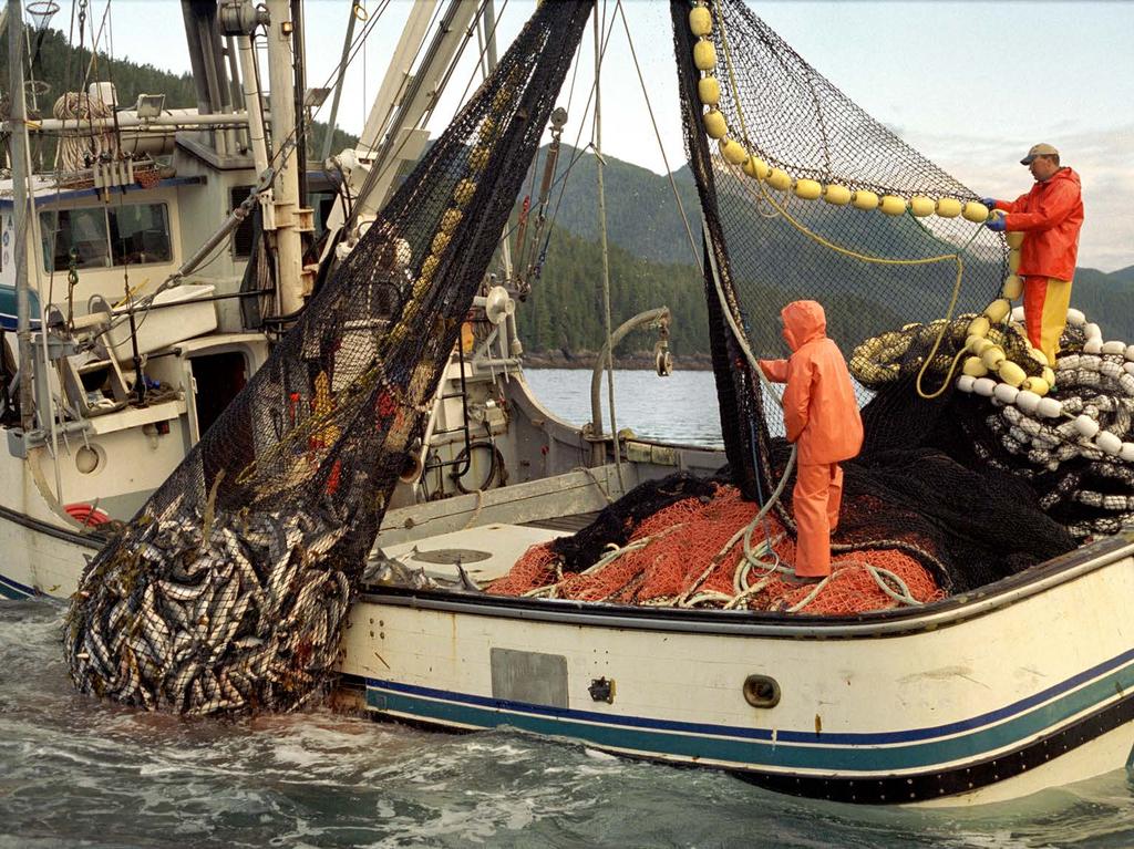 Alaska Seafood Industry Update Prepared by: Andy Wink,