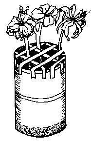 Except for seedlings, which must be severed as close as possible to the base, cut your scape to a pleasing height in proportion to the size of the flower and no taller than 30" (taller is permitted