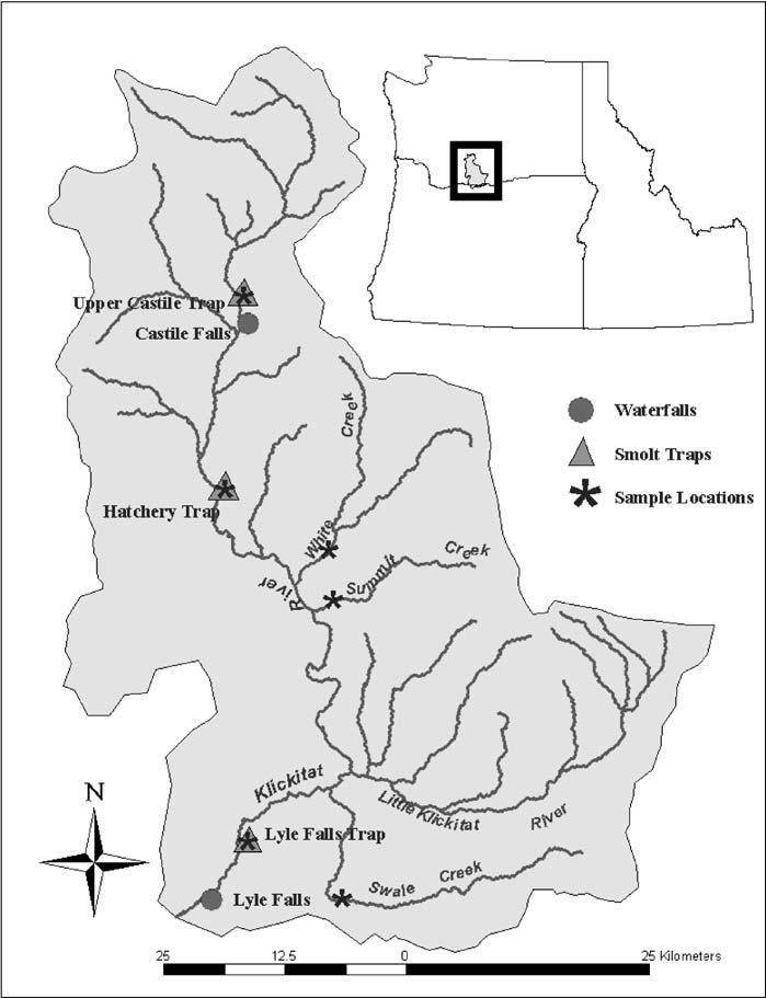 DIVERSITY OF KLICKITAT RIVER STEELHEAD 149 FIGURE 1. Map of the Klickitat River subbasin and sampling locations for determining the population substructure of steelhead populations.