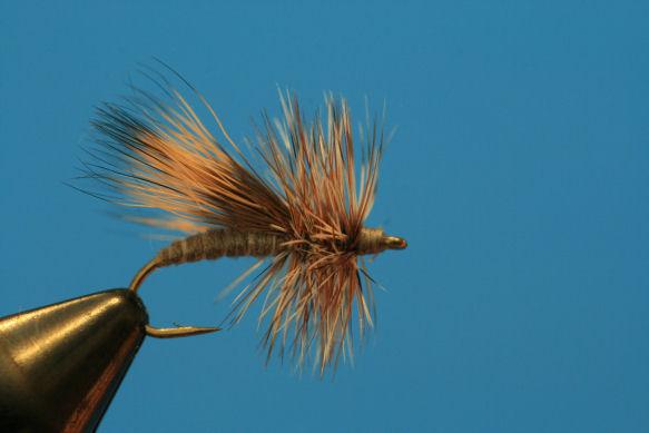 Tip of the Month Let's talk about fishing Caddis in fast water. Most fishermen do not recognize great caddis water in mid-summer.