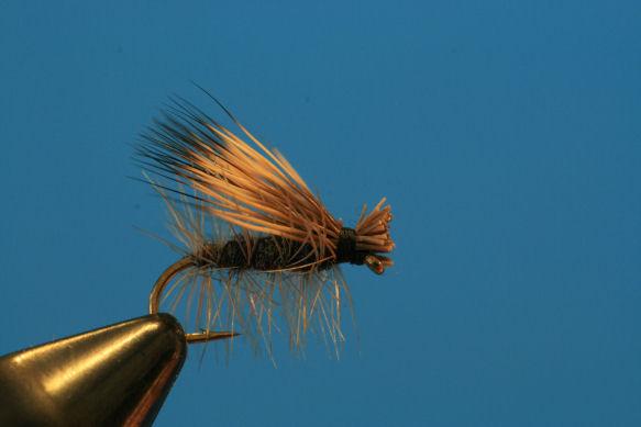 Short cast the caddis and then feed the dry fly line quickly To the same pace the water is moving.