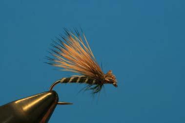 #16 Salmonfly
