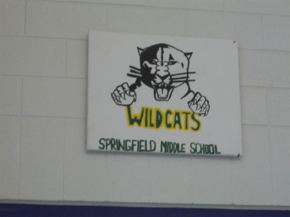 WILDCAT NEWS Prepared by Yearbook Class @ Springfield Middle School October 2017 New Staff at Springfield Here at Springfield our Wildcat family has new teachers.