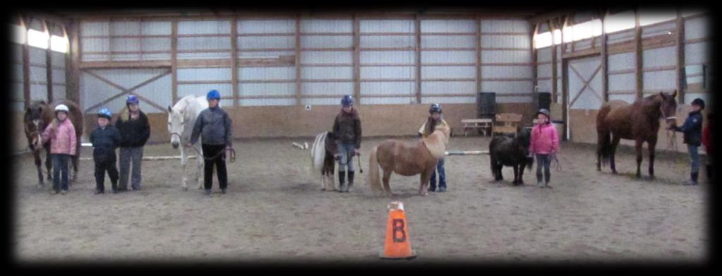 We used several horses from Fargnoli Farms, and our leaders' horses to practice on.