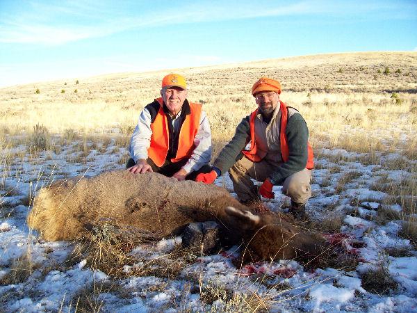 Information from hunter-killed elk is an important contribution to this study.