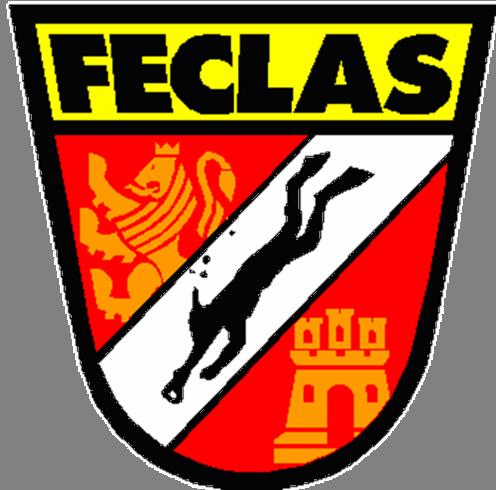address: Federación Castilla y León de Actvidades Subacuáticas - FECLAS C/.