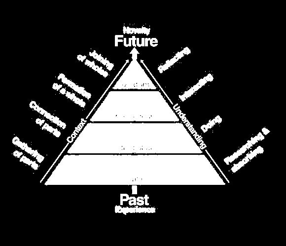 2. SOLID UNDERSTANDING OF FUNDAMENTALS. ❷ DIKW Hierarchy Pyramid.