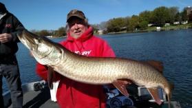 inches of Muskies in our club outings for 2016.