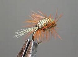 Peacock Callibaetis Hook: 2XL nymph, size 10-14 (Mustad 9671, TMC 5262) Thread: 6/0 or 8/0, black or olive Tail/shuck: Mallard flank fibers, natural or dyed burnt orange Hackle: Grizzly dyed burnt