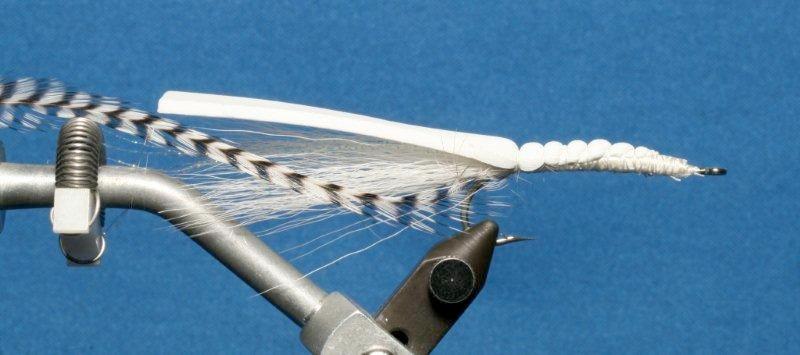 2mm or 3mm Legs Grizzly hackle Throat Red hackle TYING INSTRUCTIONS 1. Place the hook in the vise. Using a jam knot, start the thread on the hook directly behind the eye.