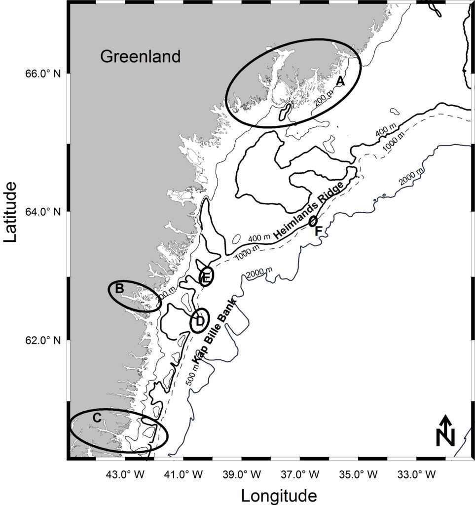 2 MATERIAL AND METHODS The data for this study is taken from four exploratory longline surveys targeting Greenland halibut, which took place in East Greenland between 1994 and 2000 using commercial