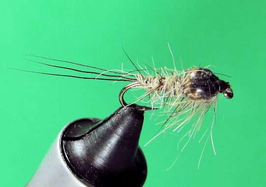 This Month s Fly November 2012 Edition STENOCRON Instructions by Bill Woody Woodward Photograph by Bob Cain Recipe Hook...Mustad 3906B, size 12-16, or equivalent Thread...Brown or rusty brown, 6/0 Tail.