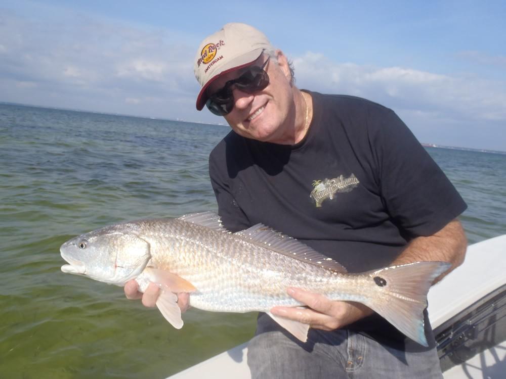 Fishing Report.Captain Baz Yelverton January has been a slow month for my fly-fishing charters, but I do have a few things to report.