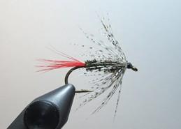 FLY OF THE MONTH Gray Hackle Peacock September 2017 Jim Athearn The Gray Hackle Peacock is a soft hackle wet fly that was one of the earliest flies tied. It originated some time in the 1700's.
