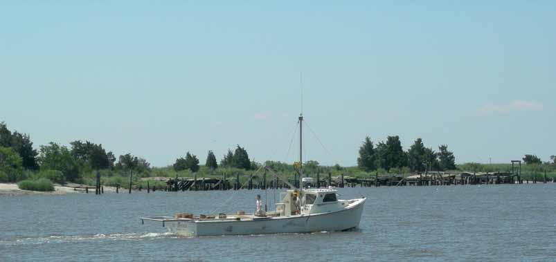 fisheries SURVEY Trawling The Delaware Bay By Jennifer Pyle, Assistant Fisheries Biologist The Delaware Estuary is New Jersey's largest estuary system.