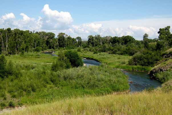 Shields River Ranch Livingston, Montana