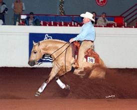 Sire: URCHA Year End Open Snaffle Bit Champion, URCHA Hackamore Year End Open Reserve Champion, and has produced Reining Cowhorse Champions.
