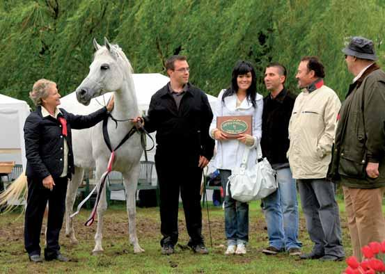 Nabilah-D Champion Mares with Equus Arabians owners