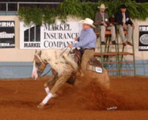 By $167,471: NRHA Hall of Fame, World Champion Senior Reining and Cutting Horse, NRHA Open Reserve World Champion, NCHA Silver Award, split 3rd in the NCHA Open Super Stakes, NRHA's Second