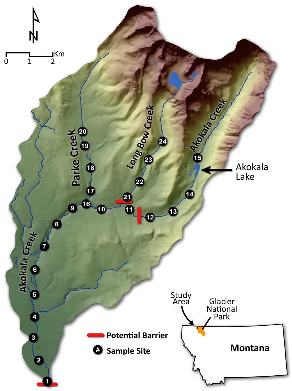 10 The Open Fish Science Journal, 2012, Volume 5 Muhlfeld et al. Fig. (1). Sampling sites in the Akokala Creek watershed and the potential barrier locations assessed in the study.