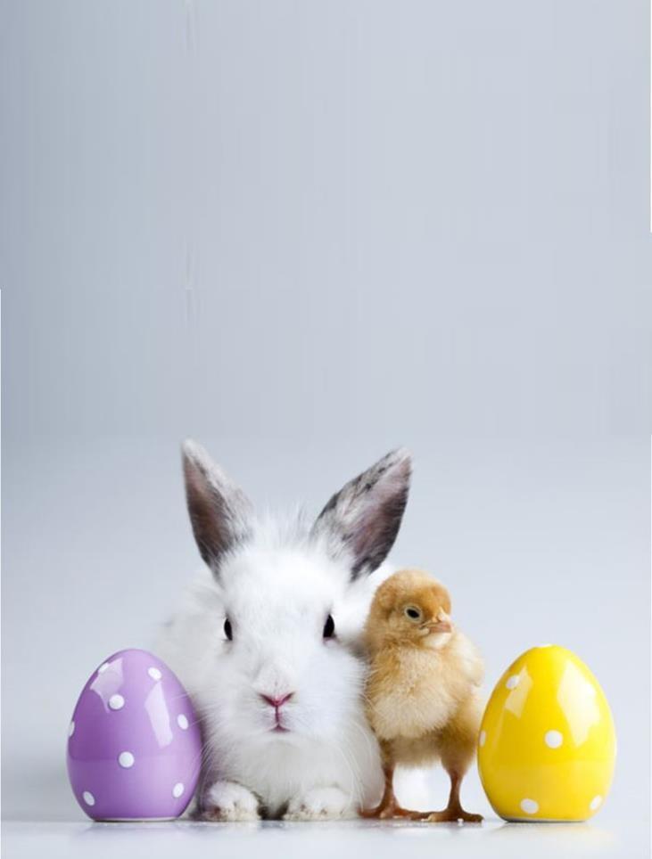 The Oakwood Kids Easter Party Saturday, April 4th 10 am ~ Noon Adults - $12.95 Crafts! Treats!