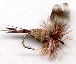 Trim a pencil sized bunch of deer hair (less for smaller hooks) from the patch, remove under-fur, cut off tips. Lay atop hook shank at bend; make two loose wraps around the center of the bunch.