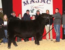 , evaluated the 37 bredand-owned (B&O) females, 99 owned females, six cow-calf pairs, eight B&O bulls,