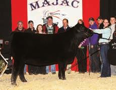 , owns the April 2016 son of AHFF the Gambler 401B. Conner Grim, Dover, Pa., showed the grand champion B&O steer. Shady Dell Zack 429 is an April 2016 son of Connealy Black Granite.