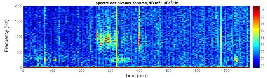 STARESO, -20 m from 5pm to 6am Most common fish sounds 1 1. Kwa Sound characterised in details by Di Iorio et al.