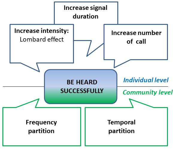 Acoustic niche hypothesis Individuals in acoustic communities compete for the use of the sound resource for communication (niche competition) ACOUSTIC NICHE HYPOTHESIS (Krause, 1993) To avoid