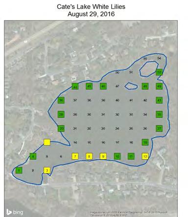 Figure 2. Cates Lake aquatic plant coverage maps.