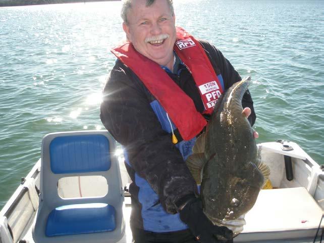 87cm of dusky flathead that doesn t count when fishing in a bream tournament.
