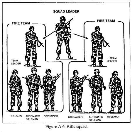 Task Organization of a Squad SQUAD LEADER: A technically and tactically proficient leader who accomplishes all tasks assigned to his squad by his superiors.