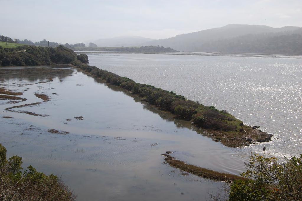 Marshes could convert to mud flats or move upland Community Development Agency Marin