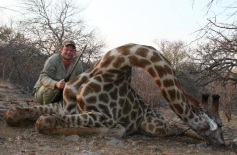 Andrew McAlister on his first overseas hunt took a huge number of trophies with Tshipise Safaris - Gemsbuck, Blue