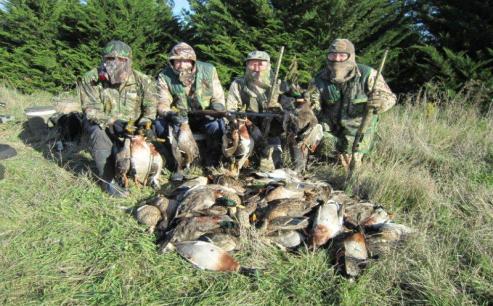 Bird Shooting: Three groups (including two return groups) saw in the