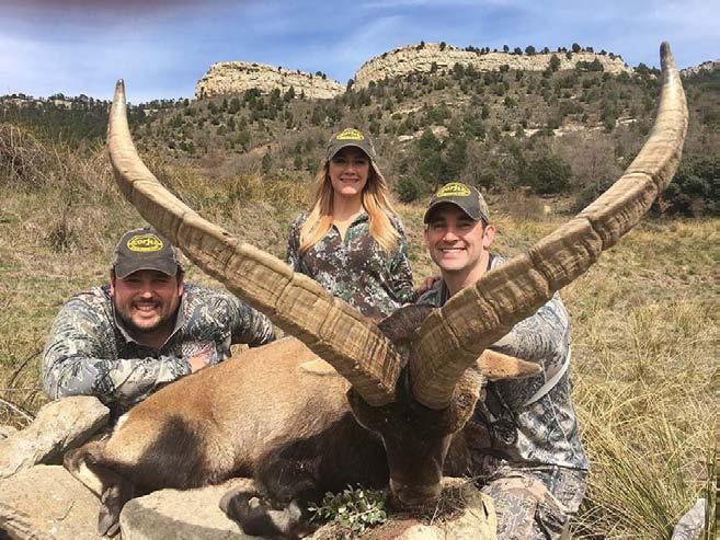 Beceite Ibex Hunt in Spain with Fran Cortina Corju Hunting has donated this incredible hunt in Spain for a Beceite Ibex for one hunter. This is for a management Ibex up to 5 years old.